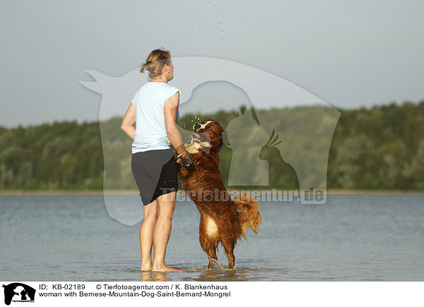Frau mit Berner-Sennenhund-Bernhardiner-Mischling / woman with Bernese-Mountain-Dog-Saint-Bernard-Mongrel / KB-02189