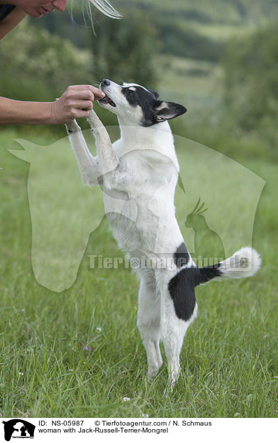 Frau mit Jack-Russell-Terrier-Mischling / woman with Jack-Russell-Terrier-Mongrel / NS-05987