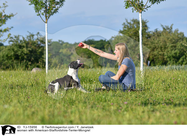 Frau mit American-Staffordshire-Terrier-Mischling / woman with American-Staffordshire-Terrier-Mongrel / YJ-15956