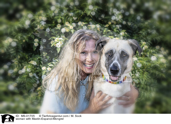 Frau mit Mastin-Espanol-Mischling / woman with Mastin-Espanol-Mongrel / MS-01705