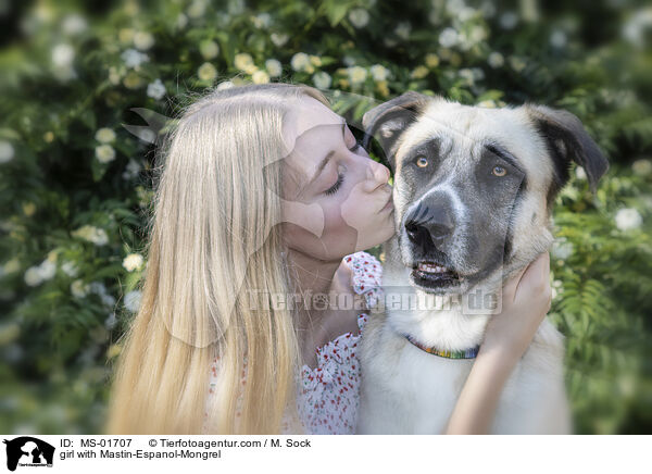 Mdchen mit Mastin-Espanol-Mischling / girl with Mastin-Espanol-Mongrel / MS-01707