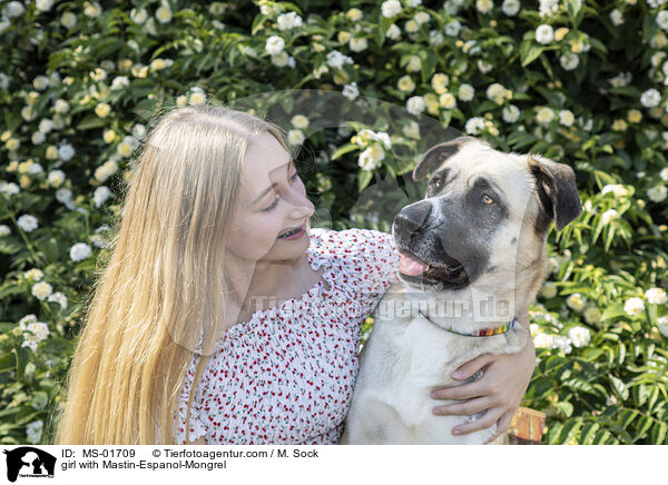 Mdchen mit Mastin-Espanol-Mischling / girl with Mastin-Espanol-Mongrel / MS-01709