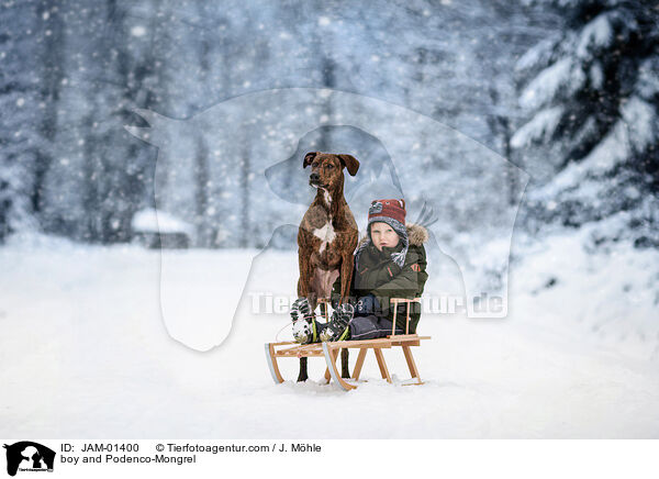 Junge und Podenco-Mischling / boy and Podenco-Mongrel / JAM-01400