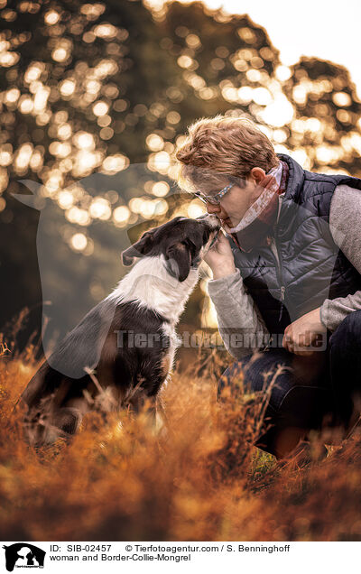Frau und Border-Collie-Mischling / woman and Border-Collie-Mongrel / SIB-02457