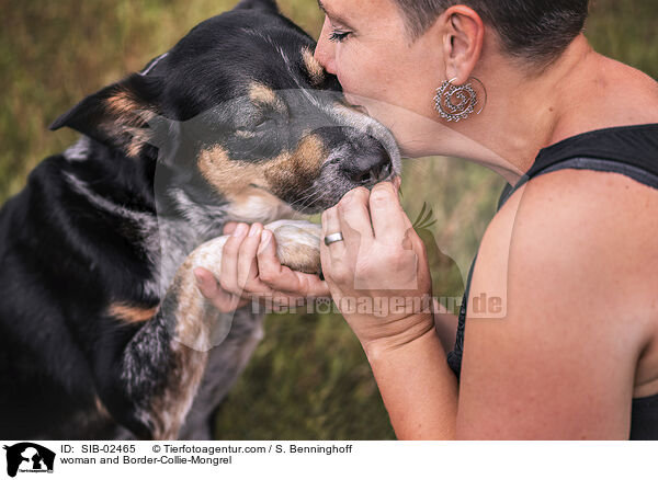Frau und Border-Collie-Mischling / woman and Border-Collie-Mongrel / SIB-02465