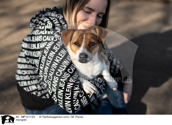 Mischling / mongrel / MP-01124