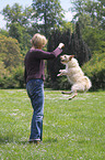 jumping dog