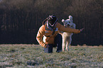 dogdance with mongrel