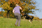 playing dog