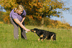 playing dog