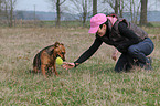 Boxer-Mongrel