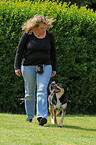 dog training