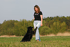 Mongrel shows trick