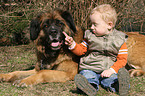 kid with mongrel