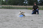 playing mongrel