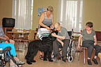 therapy dog at work