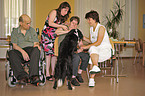 therapy dog at work
