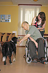 therapy dog at work