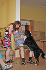therapy dog at work