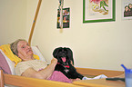 therapy dog at work