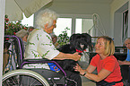 therapy dog at work