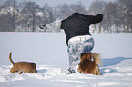 woman with mongrels