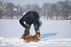 woman with mongrels