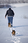 woman with mongrels