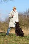 woman and mongrel