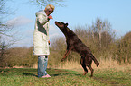 woman and mongrel