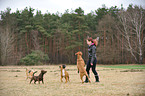 woman with dogs
