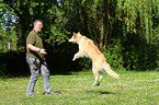 playing mongrel
