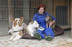 dogs at pound