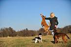 woman and dogs