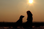 woman and mongrel