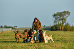 woman and dogs
