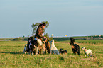 woman and dogs