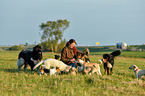 woman and dogs