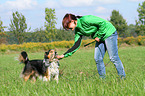 woman and Shetland-Sheepdog-Mongrel