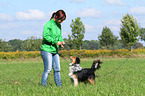 woman and Shetland-Sheepdog-Mongrel