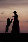 Small-Munsterlander-Epagneul-Breton-Mongrel with woman