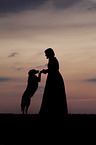 Small-Munsterlander-Epagneul-Breton-Mongrel with woman