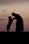 Small-Munsterlander-Epagneul-Breton-Mongrel with woman