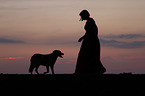 Small-Munsterlander-Epagneul-Breton-Mongrel with woman