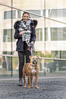 standing American-Bulldog-Mongrel