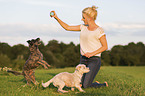 woman with Terrier-Mongrel