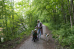 humans with Whippet-Silken-Windsprite-Mongrels