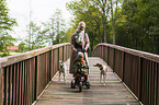 humans with Whippet-Silken-Windsprite-Mongrels