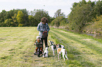 humans with 3 Dogs