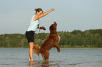 woman with Bernese-Mountain-Dog-Saint-Bernard-Mongrel